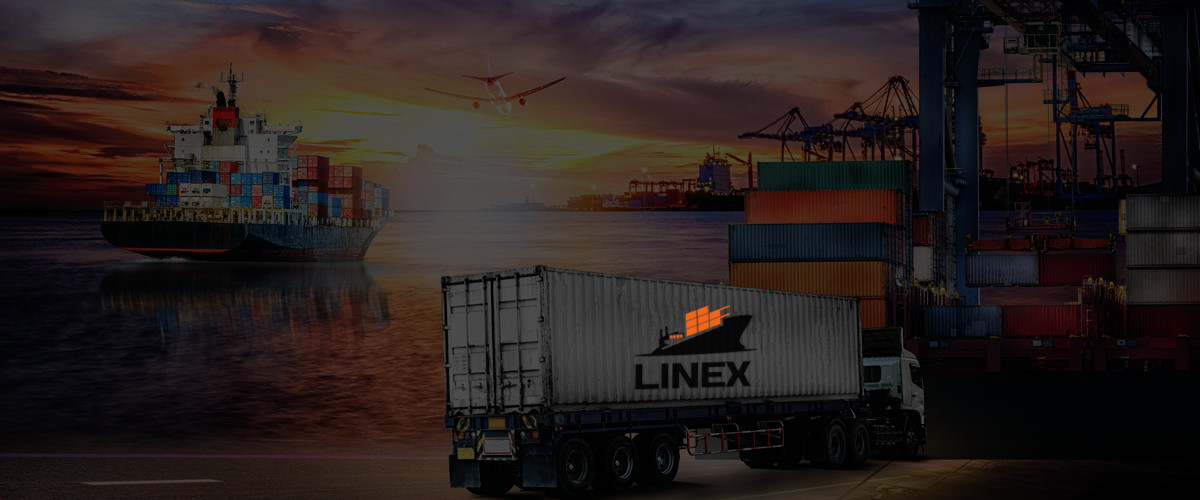 LineX Import
